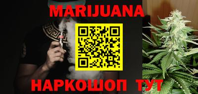 сатива Можга