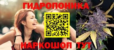 сатива Можга