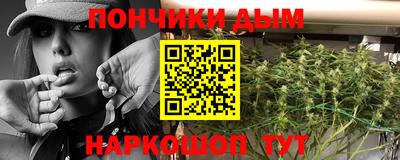 сатива Можга