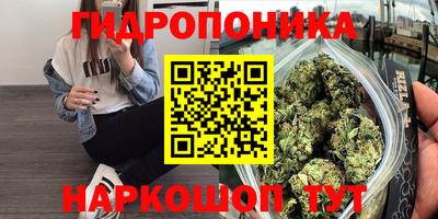 сатива Можга