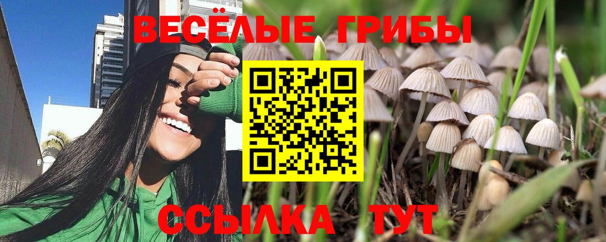 Галлюциногенные грибы Cubensis Тула