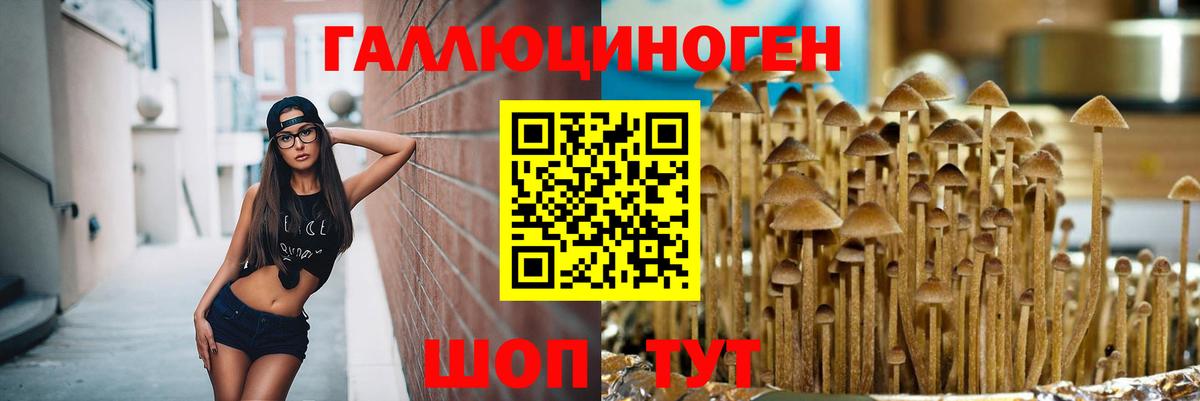 Тула  Галлюциногенные грибы MAGIC MUSHROOMS  Вход с VPN 